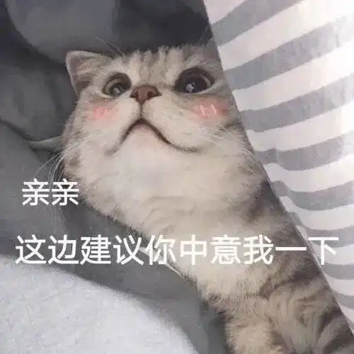 加菲猫表情包小视频七夕