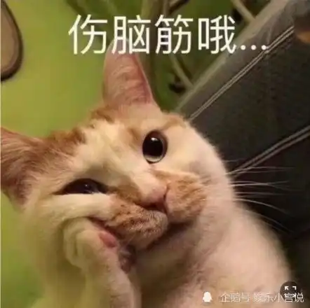 加菲猫表情包小视频闰年