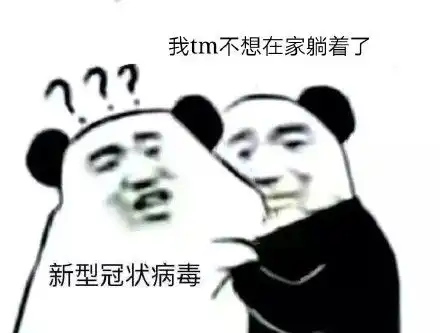  来自熊猫头的威胁新型冠状病毒表情包