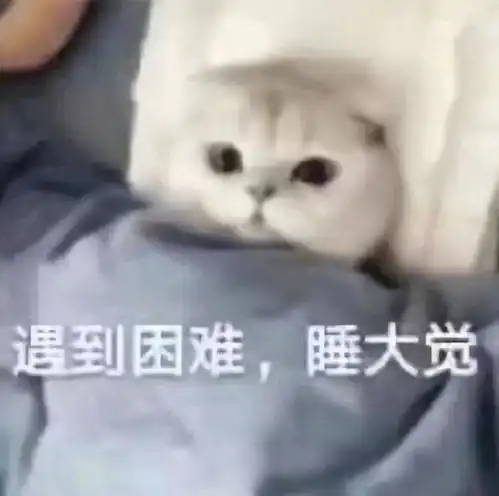  杨幂都扶不起,新片票房被王一博吊打,网友吐槽导演坑粉丝出力