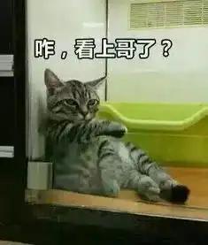  各种糊糊的沙雕猫表情包,看完忍不住有点喜欢