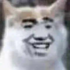  这tm是什么沙雕电视剧,哈哈哈哈哈哈不能让我一个人瞎