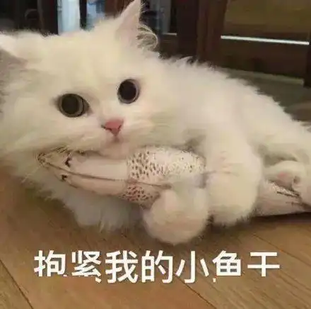  在贵阳这些路段边上可以停车,交警不会找麻烦快来看看