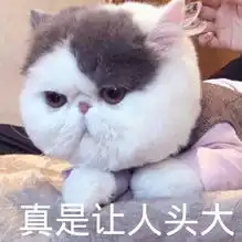 超级搞笑表情名犬