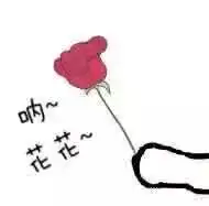  你可以假装不爱博罗,反正你的输入法已经出卖了你