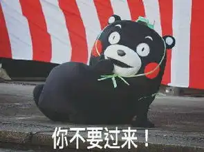  乔视频直播全集乔资料大全yy官方