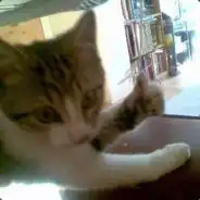 сообществоsteamdunkatron сообществоsteamdunkatron