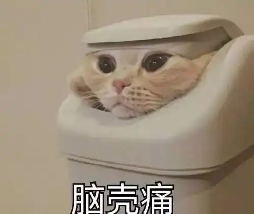  抄作业花式翻车现场,一个比一个优秀哈哈哈