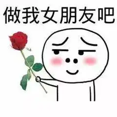 收玫瑰花回复表情包