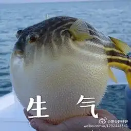  河豚生气gif下载河豚生气表情包下载6张动态图腾牛下载