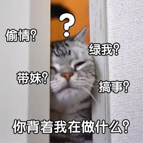  表情包把自己白送给你