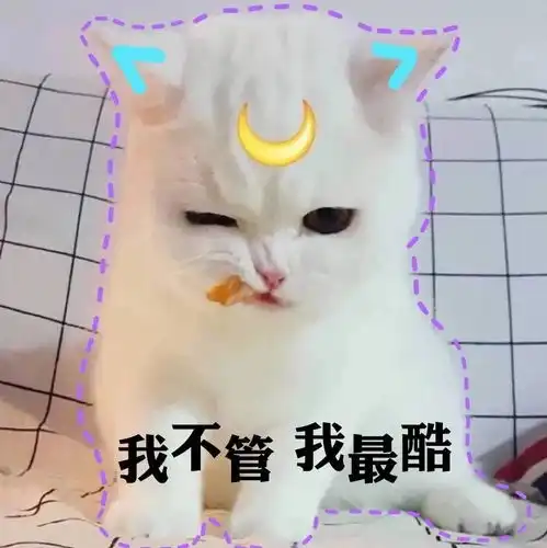  防疫工作两手抓,迎春整装再出发