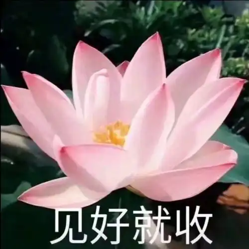 十五菩萨保佑表情包