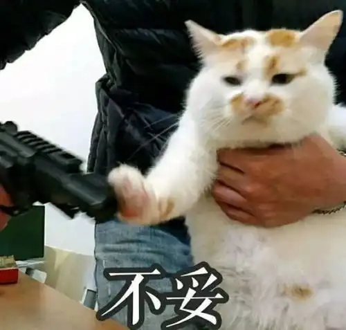  注意,您的期末划重点功能加载失败