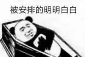  安排是什么梗