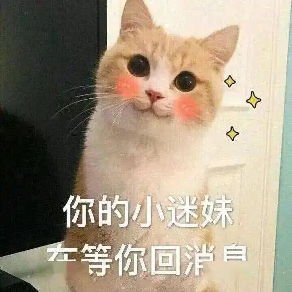  小仙女表情包用起来