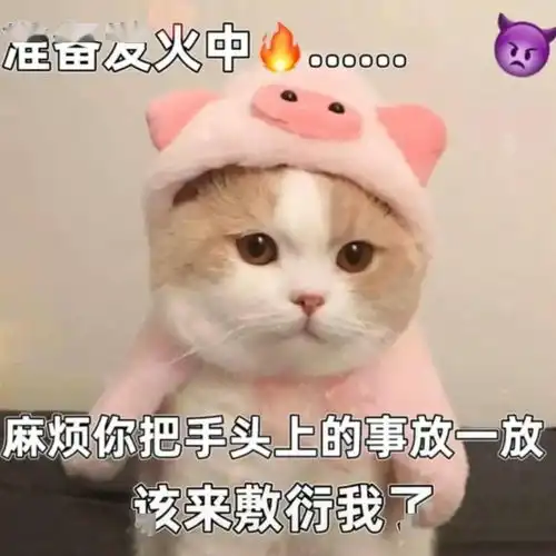 奇怪的表情增加了