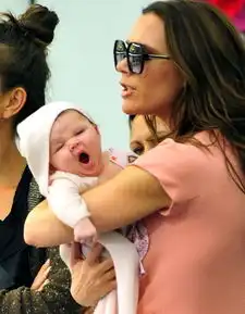 小七哈珀表情包睡不醒