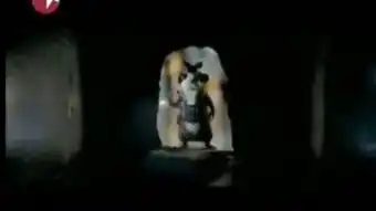  豚鼠特工队