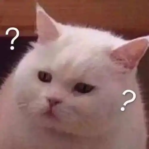  可爱表情包图片猫咪的日常,你开心就好