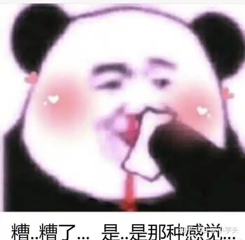 懂了表情包动图王炸
