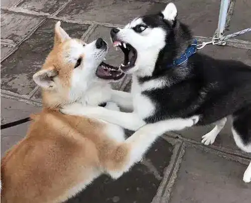  爱豆和经纪公司撕破脸,双方发声明互呛,解约3年还是被坑了