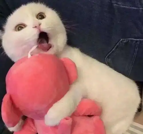 二哈搞笑表情图片香蕉和