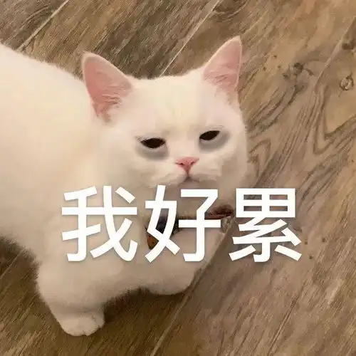  能劝一个是一个维生素真的不是智商税