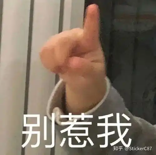  有什么端午节表情包