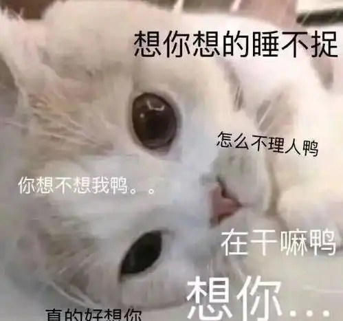  家里进了一只老鼠,全家人忙活半天也没抓着哈哈哈