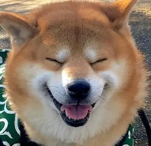 笑一笑,十年少