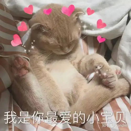  有没有给女朋友亲亲的表情包