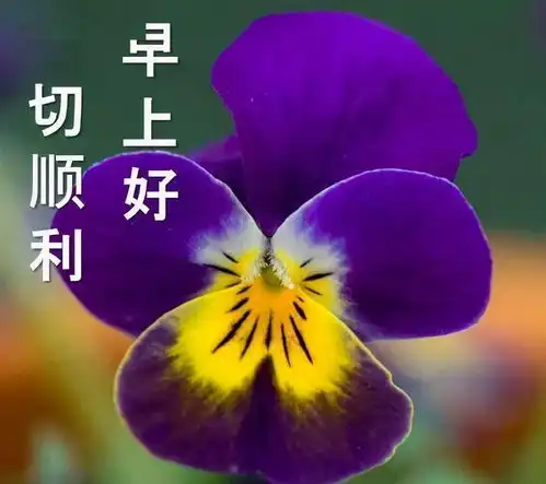  人生学会随缘,才能活得潇洒自在