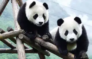  中国一个不起眼的小县城,貌美如斯,呆上一整年都不嫌腻