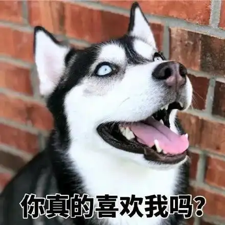  每日一笑和相亲妹纸在咖啡厅,感觉没啥说的,为了缓解尴尬....