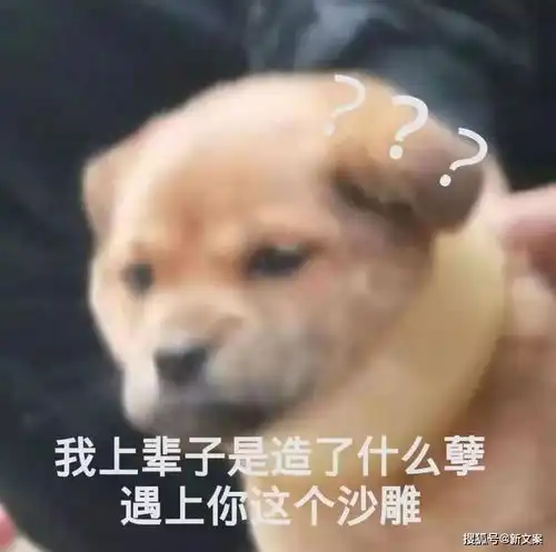  神回复段子父母长辈买过最坑的东西是啥