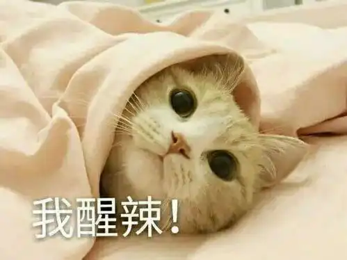 段子表情包开心一刻