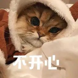  搞笑的猫咪表情包31张,拿去折腾男朋友吧
