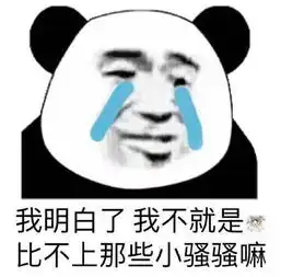  熊猫头表情包晚安,我已经安排了,会有蚊子替我亲你