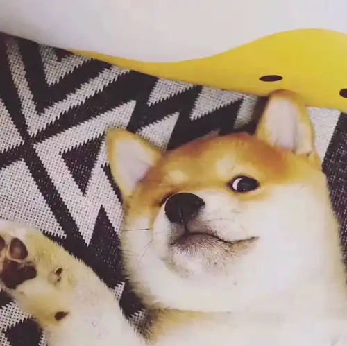  讨论金星落座及异性对你的态度