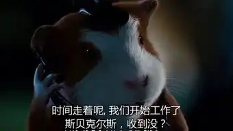 豚鼠特工队表情包出炉