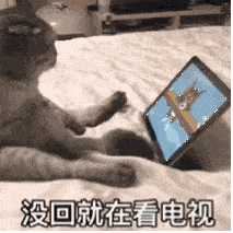  微笑动图9月2日取图表情包