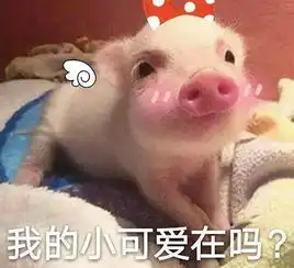 百脑汇十周年店庆,等你来文末有福利,请耐心拉到最后