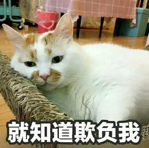  求职