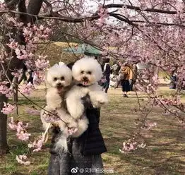 只要我吃的足够快,体重就不会追上我丨节操睡了 只要我吃的足够快,体重就不会追上我丨节操睡了