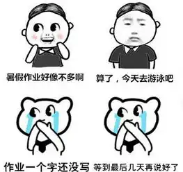  猥琐猫人脸之暑假抄作业表情包