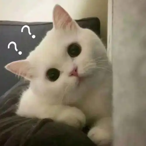 一组沙雕问号表情包 一组沙雕问号表情包