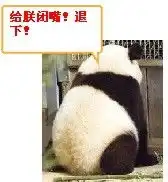  qq表情别整那没用的生气不爽图片