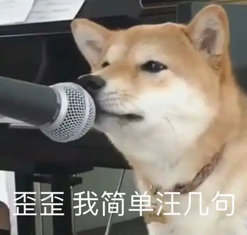  终极舔狗语录