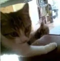  粉丝们长点心吧,机场可不是让你们追星的地方